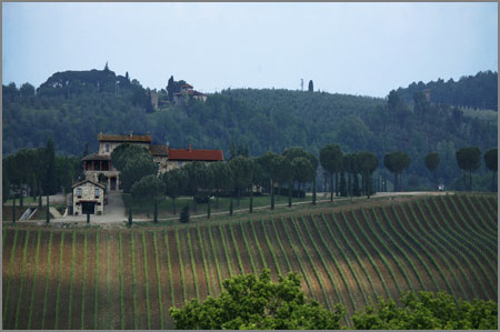 Tuscany Travel on Ben Kong Photography